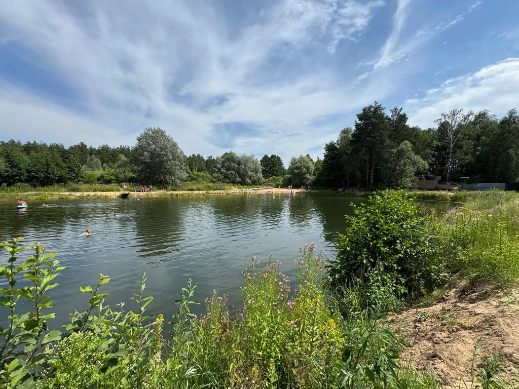 Загородная вилла в лесу