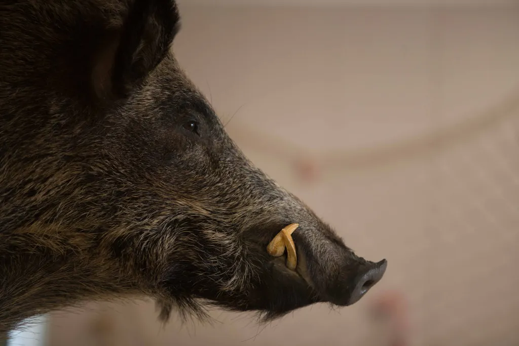 Коттедж Дом егеря — Волхов