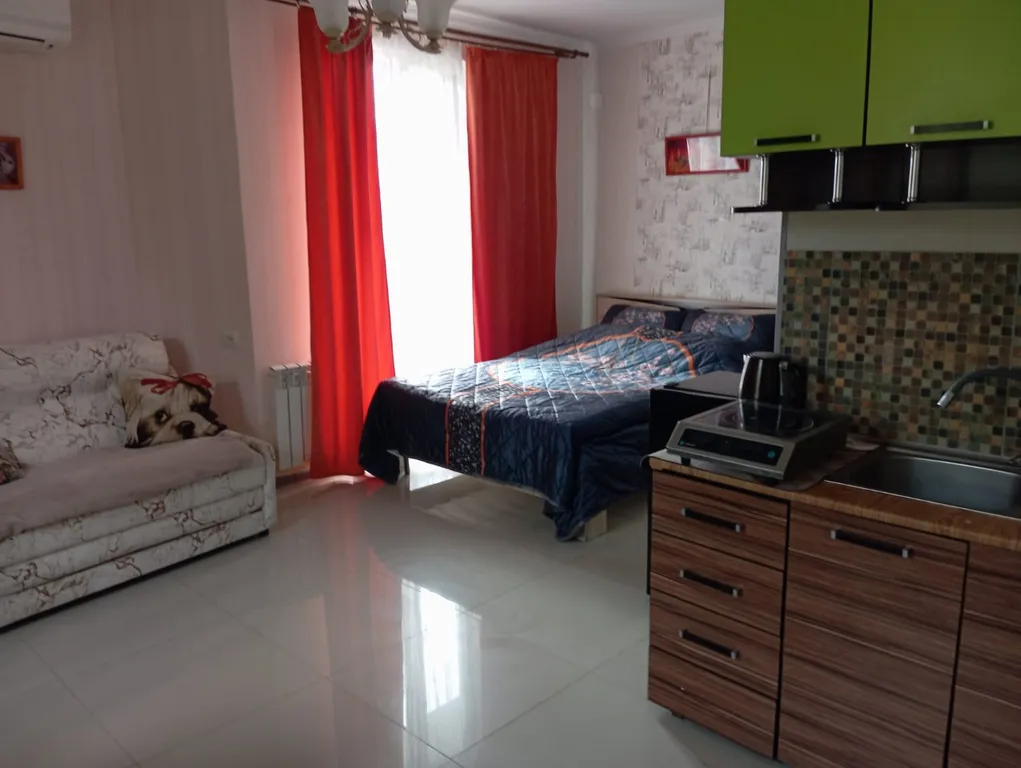 Квартира Квартира Уютная студия — Сириус