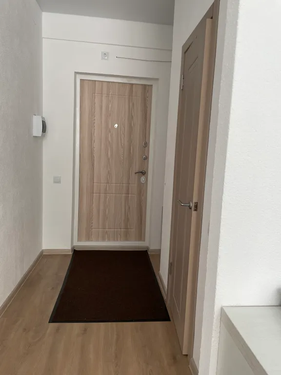 Студия в сосновом лесу