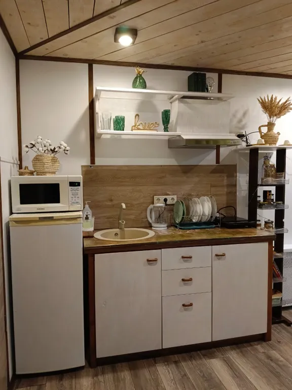 Чудо-дача, дом Акула на берегу пруда