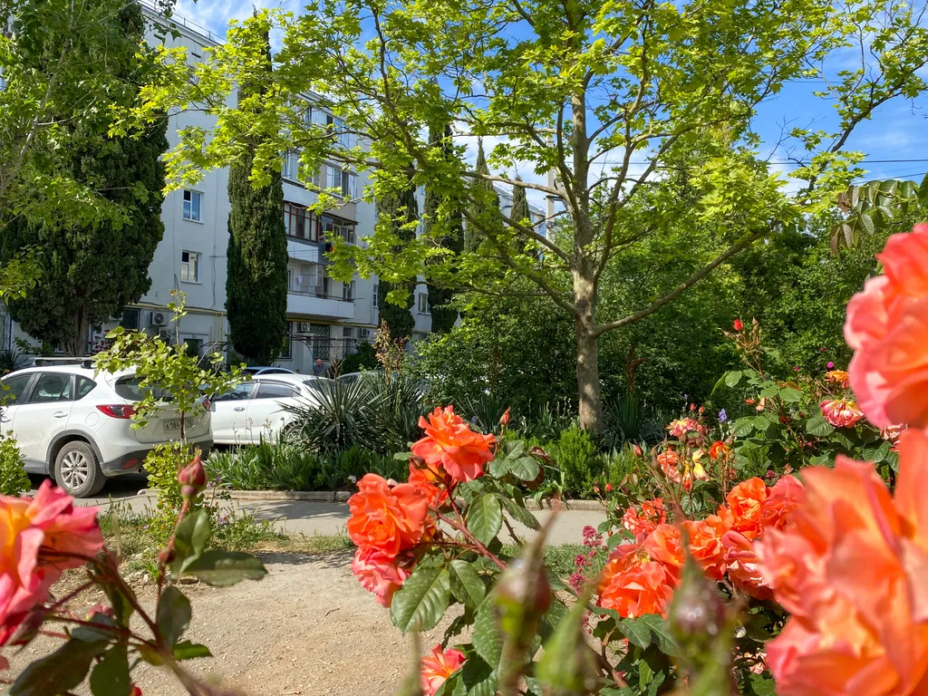 Квартира Уютнейшая квартира на ПОРе, рядом с Парком Победы — Севастополь