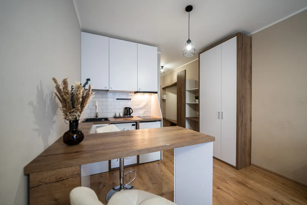 Апартаменты у метро Парнас