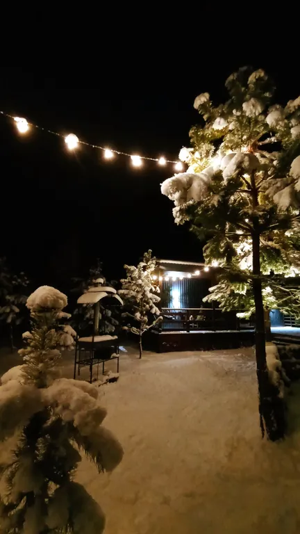 Уютный домик в сосновом лесу