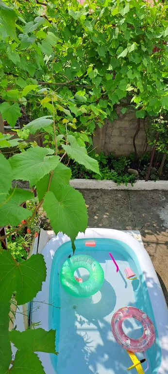 Коттедж Дом для большой компании в 300 м. от моря — аренда посуточно в Вардане