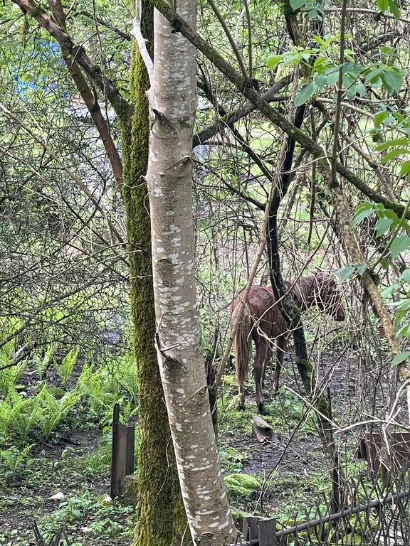 Дом среди гор