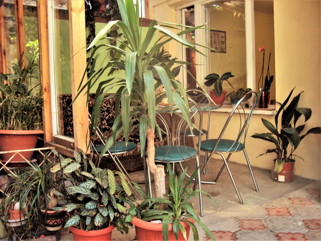 Домик в цветах