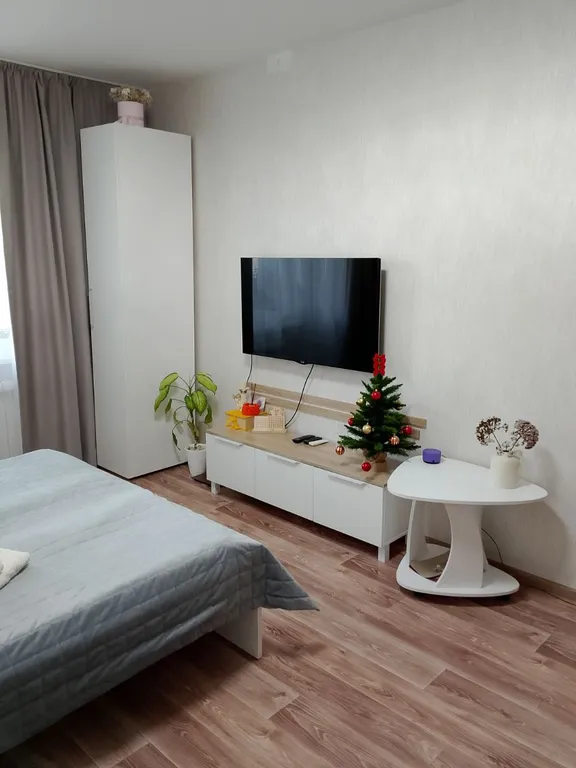 Уютные однокомнатные апартаменты Мандарин