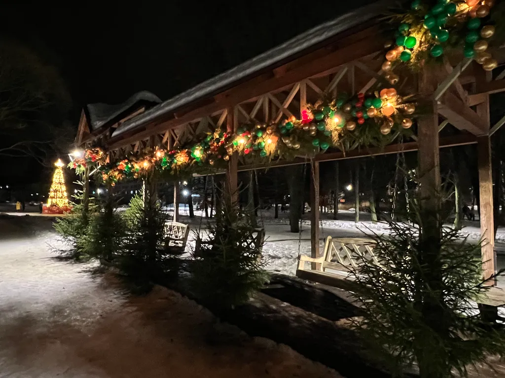 Апартаменты “Обитель Плёсъ” в стиле русской избы