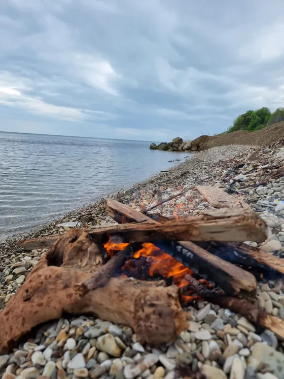 Комфортное проживание в лесу у моря