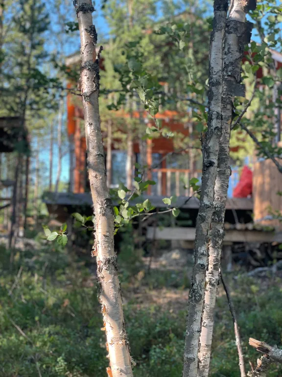 Уютный загородный дом