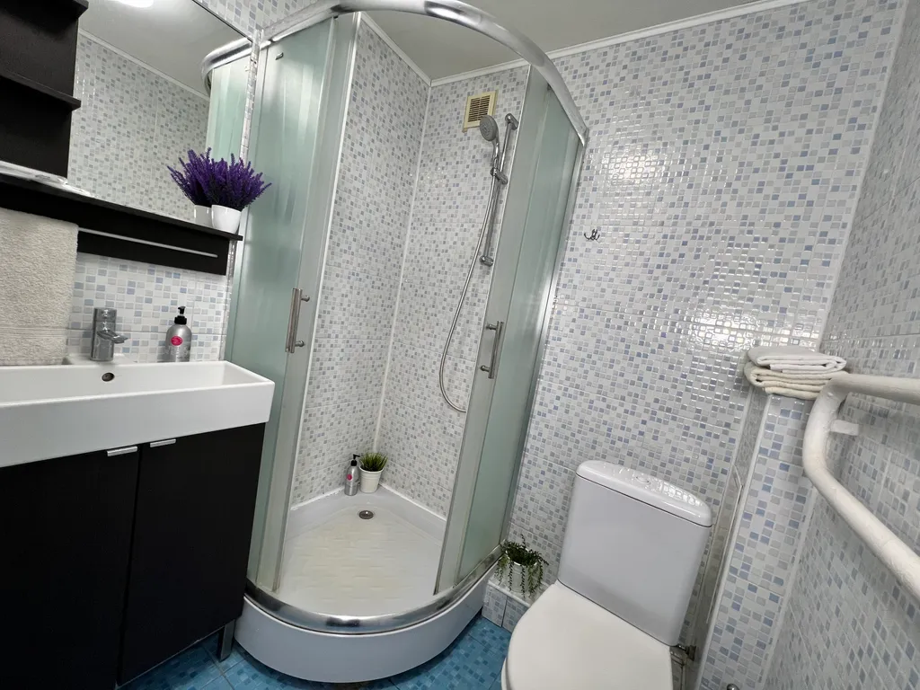 1-комнатная квартира в деловом и историческом центре города с новогодней елкой