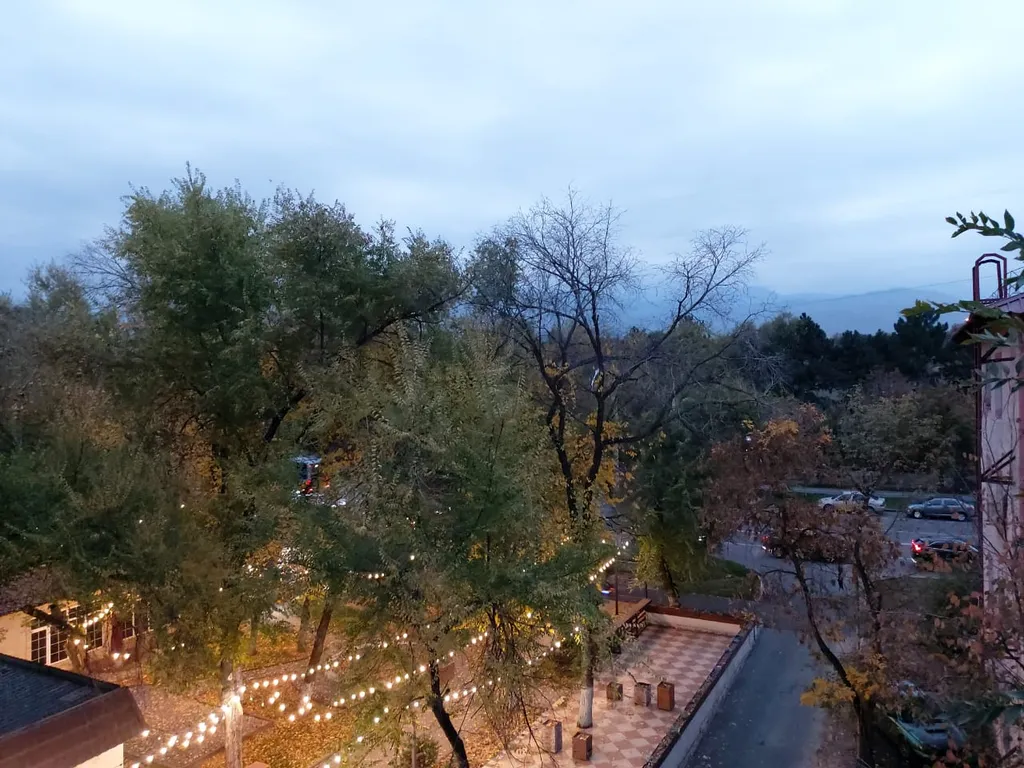 Апартамент с видом на Ботанический сад