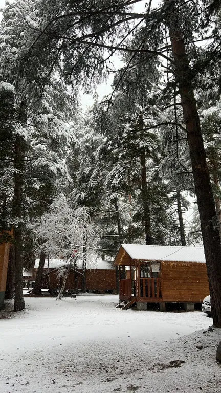 Коттедж Домик в лесу — Архыз