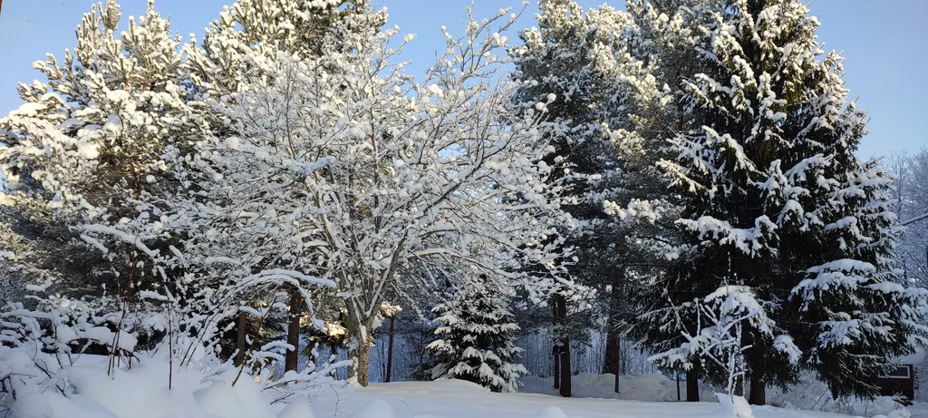 Коттедж Тёплый коттедж с баней на очень большой уединённой территории — Кротово