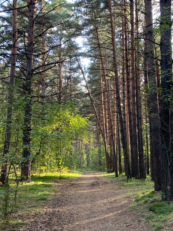 Уютная квартира на берегу Обского моря