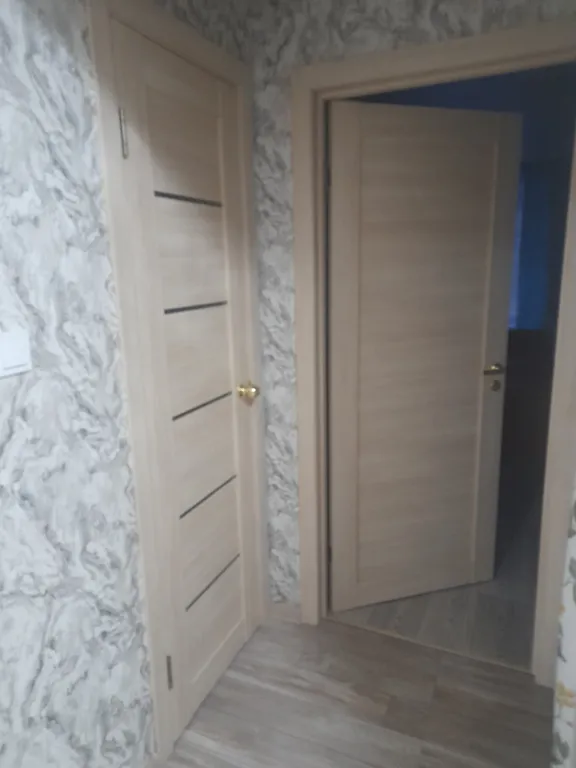 Квартира в сосновом бору