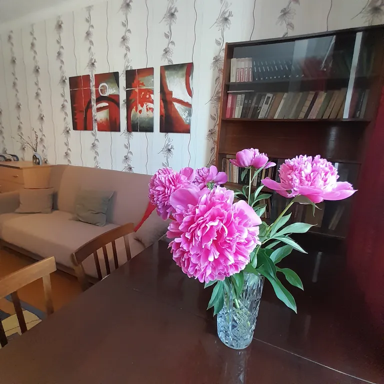 Отзывы гостей - как дома