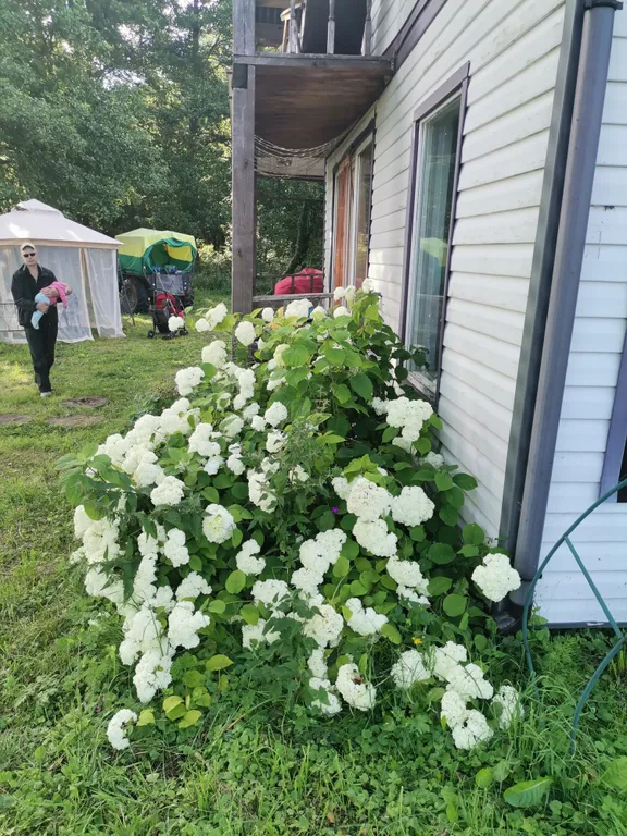 Коттедж Уютный Домик Пряник на берегу озера рядом с лесом — Сланцы