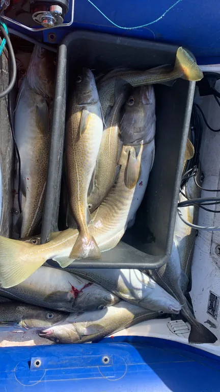 Квартира студия с видом на горы