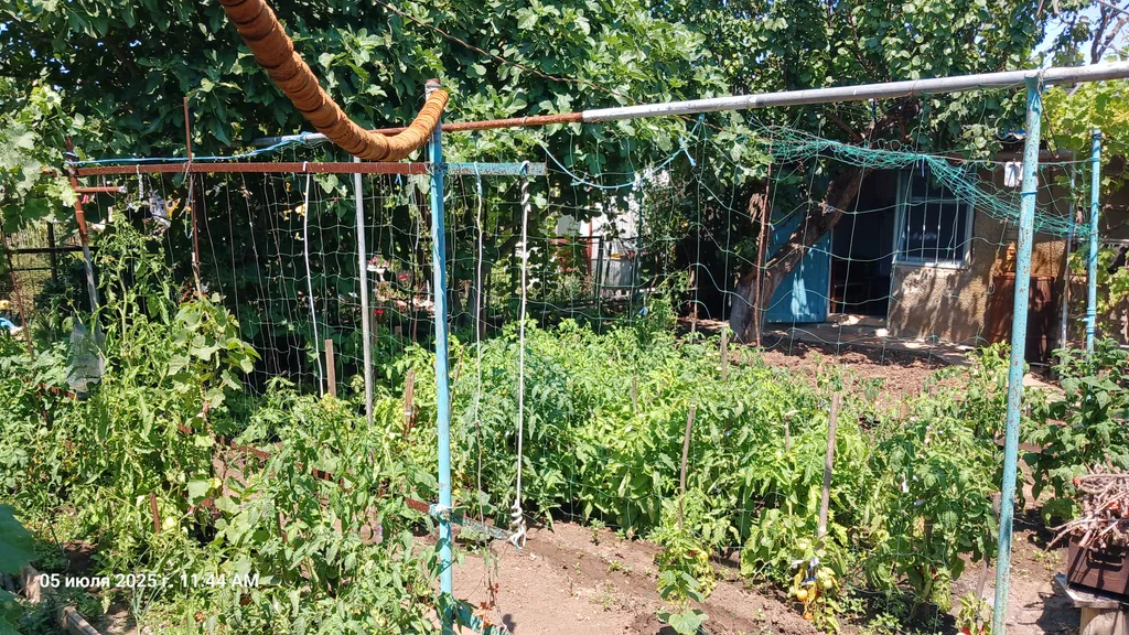 Дачный домик возле моря