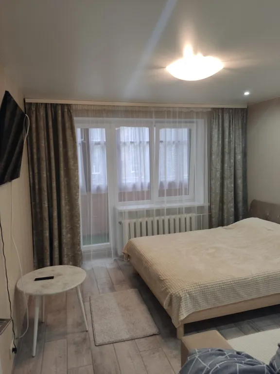 Уютная однокомнатная квартира в центре города — аренда посуточно в Брест