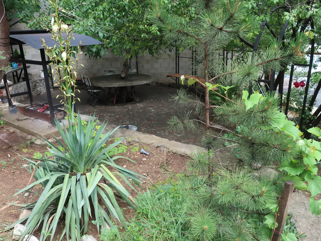 Студия Акуна Матата