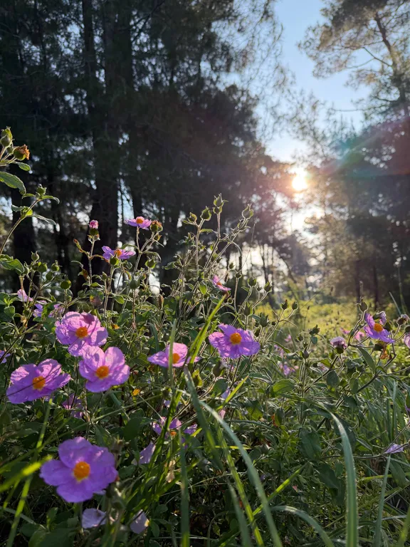 Комната