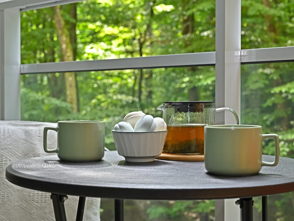 Квартира Квартира с видом на сосновый лес — Светлогорск