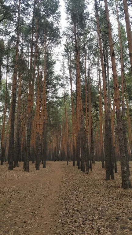 Студия в Звёздном городке