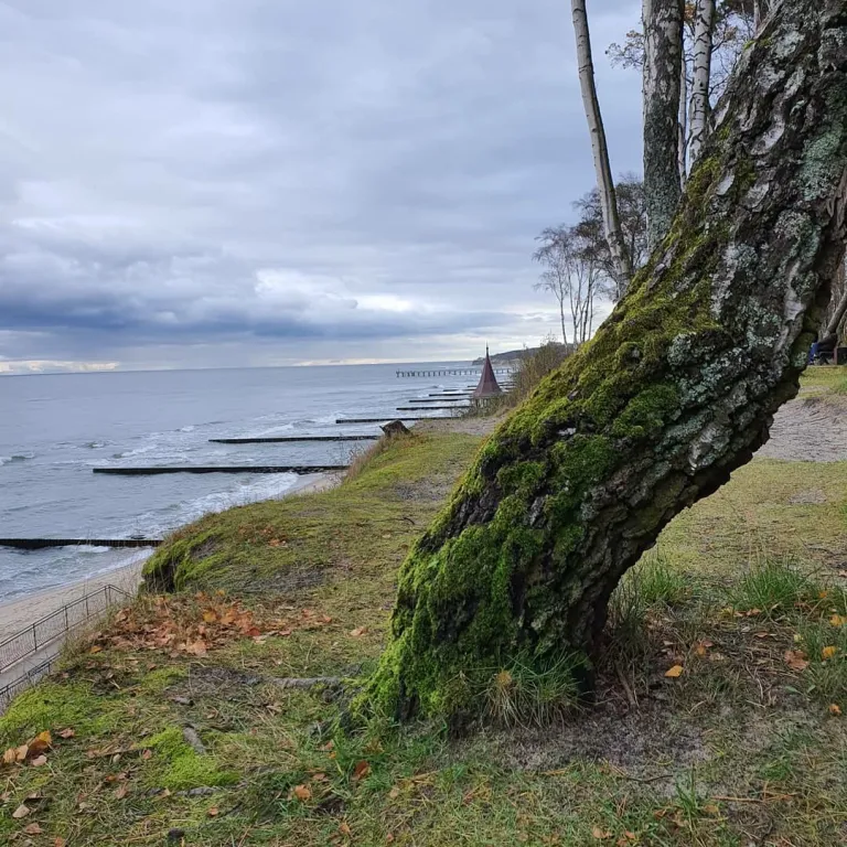 Уютная квартира с видом на море