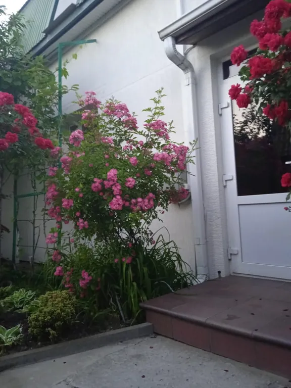 Домик для отдыха