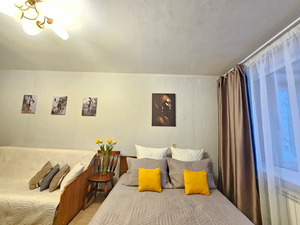 Просторная однокомнатная квартира