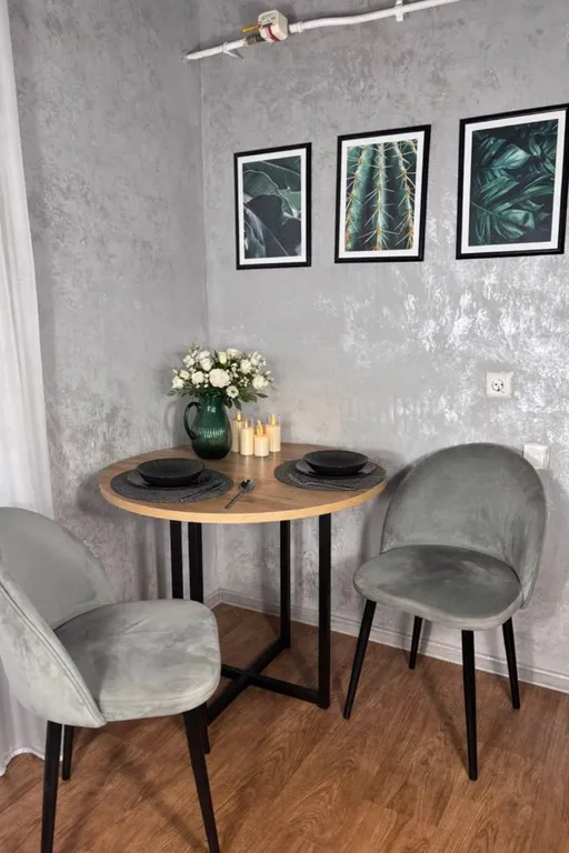 Квартира однокомнатная с отдельным входом