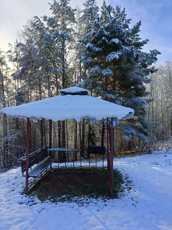 Коттедж Коттеджи у озера — Луга