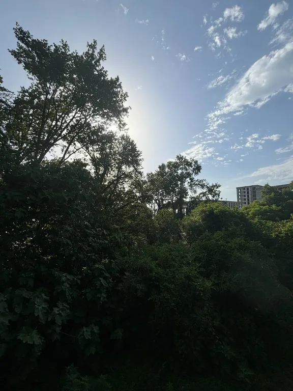 Коттедж Просторный дом в зеленой зоне города — Адлер