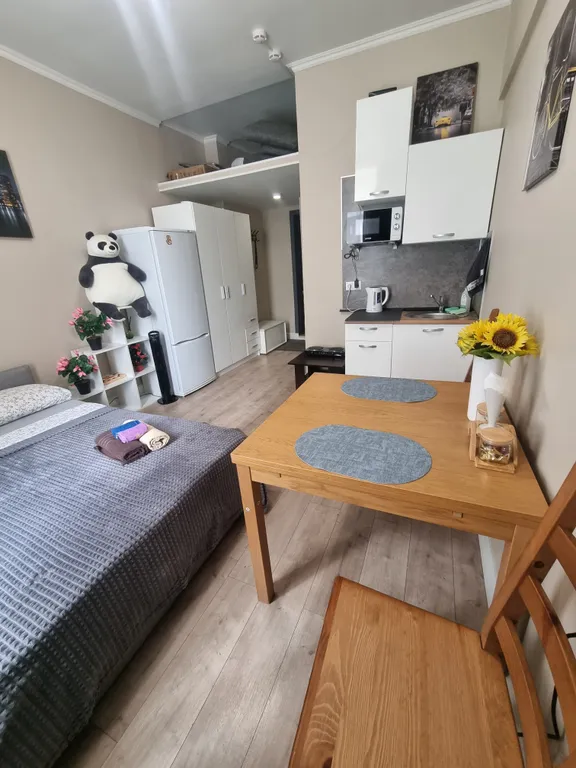 Квартира Квартира Студия у метро — Москва