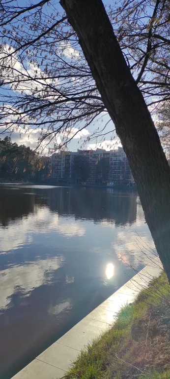 Квартира Уютная квартира в курортном городе — Светлогорск
