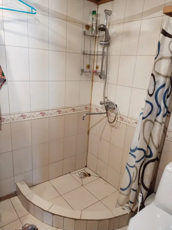 Коттедж Уютный домик в лесу — Агалатово