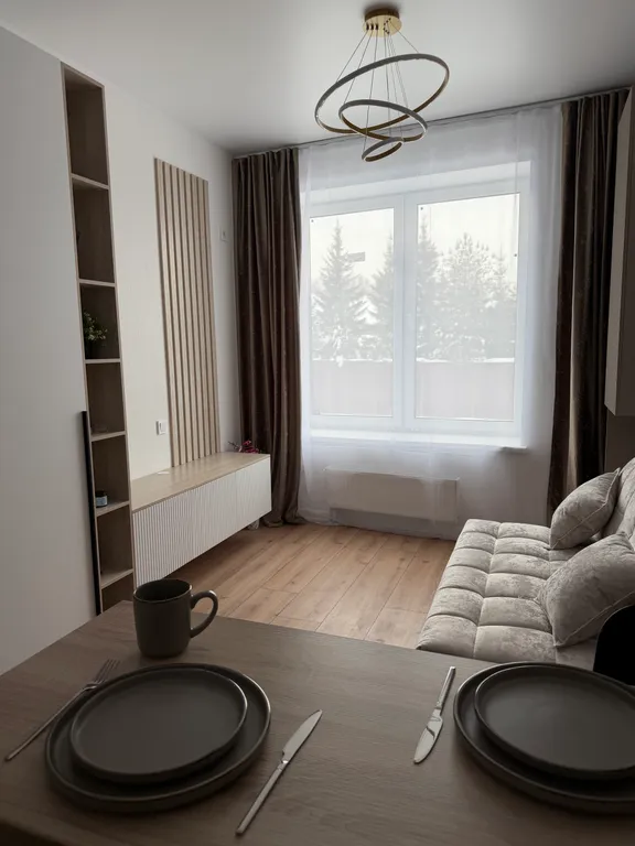 Квартира Уютная новая студия — Вешки