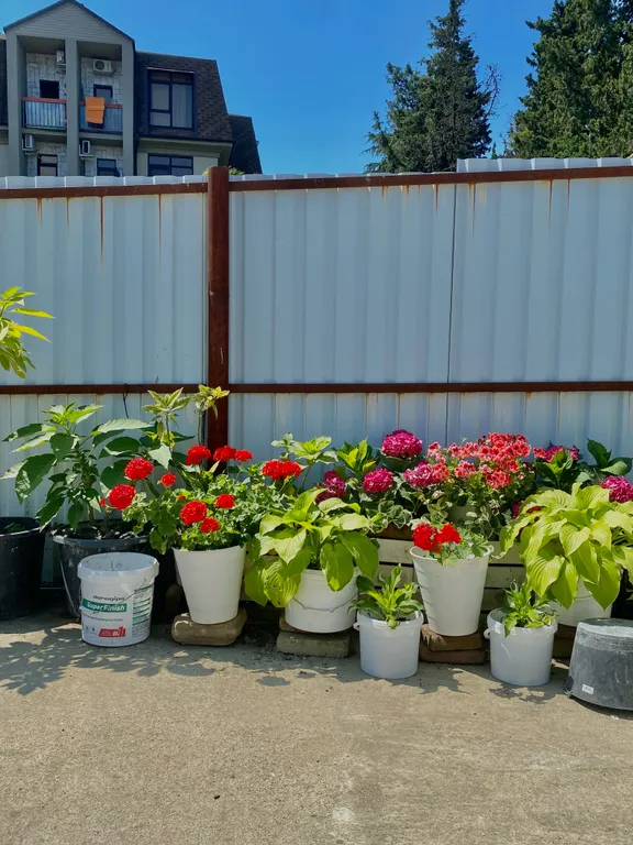 Квартира Просторная 2-комнатная квартира с закрытой парковкой — Сириус