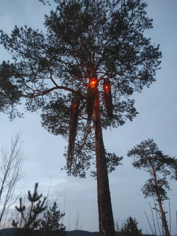 Уютная квартира с удобным расположением