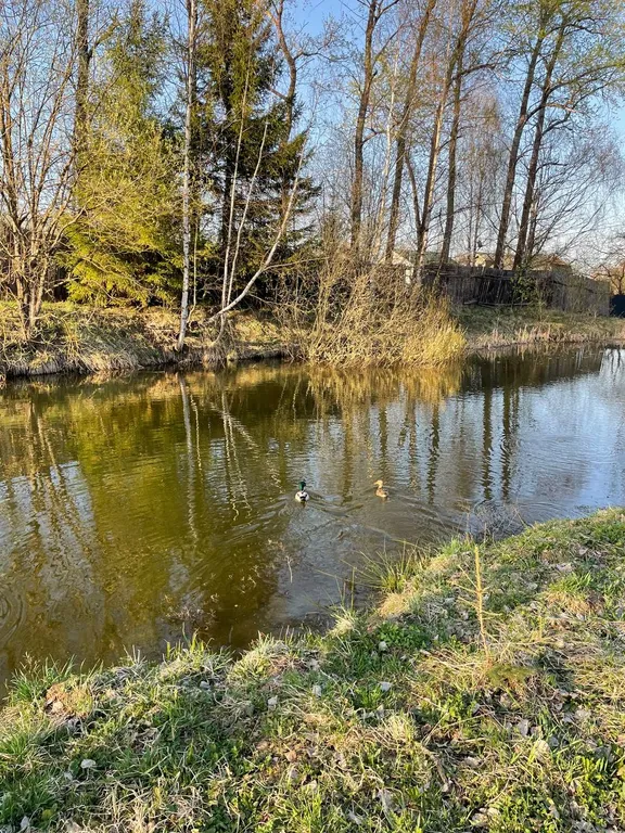 Атмосферный уютный экокоттедж из кедра с прудом