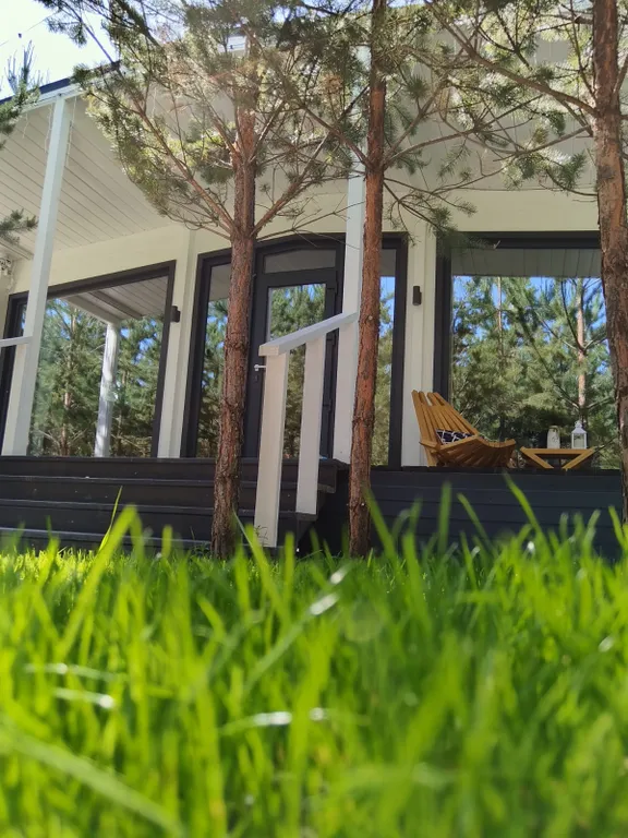 Домик, чан, баня в сосновом лесу, закрытая территория