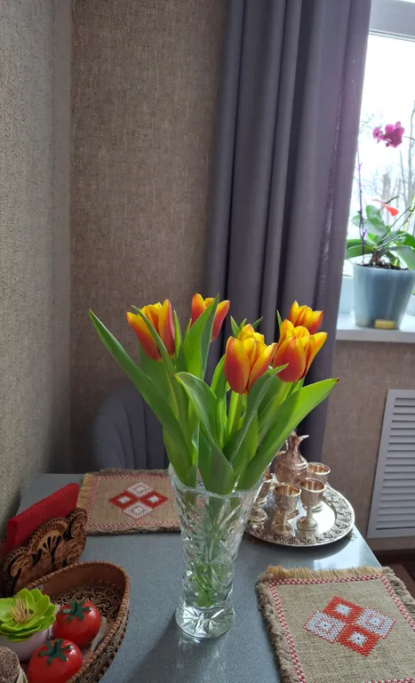 Уютная квартира в самом центре города напротив места основания города — аренда посуточно в Кострома