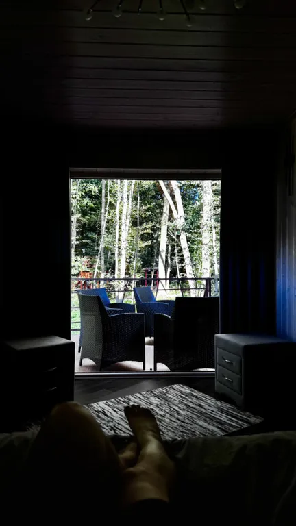 Уютный дом с видом на лес