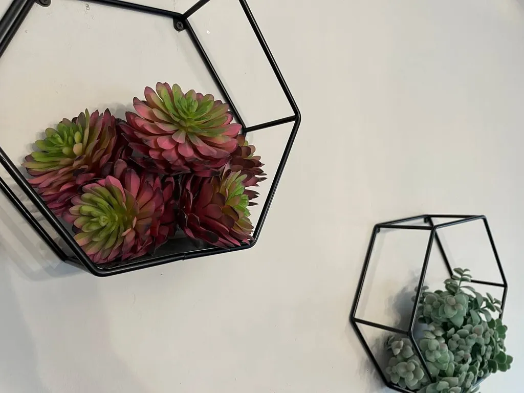 Гостевой дом «Cactus House”