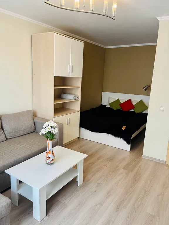 Уютная квартира в самом центре города