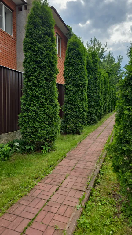 Дом с тёплым бассейном и баней в Новой Москве