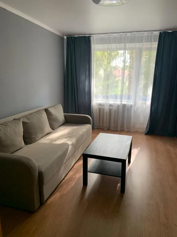 Уютная квартира в Светлогорске